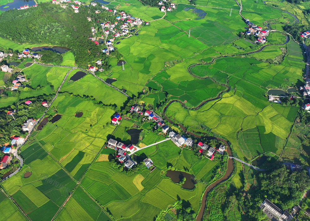 田园 风光 美景