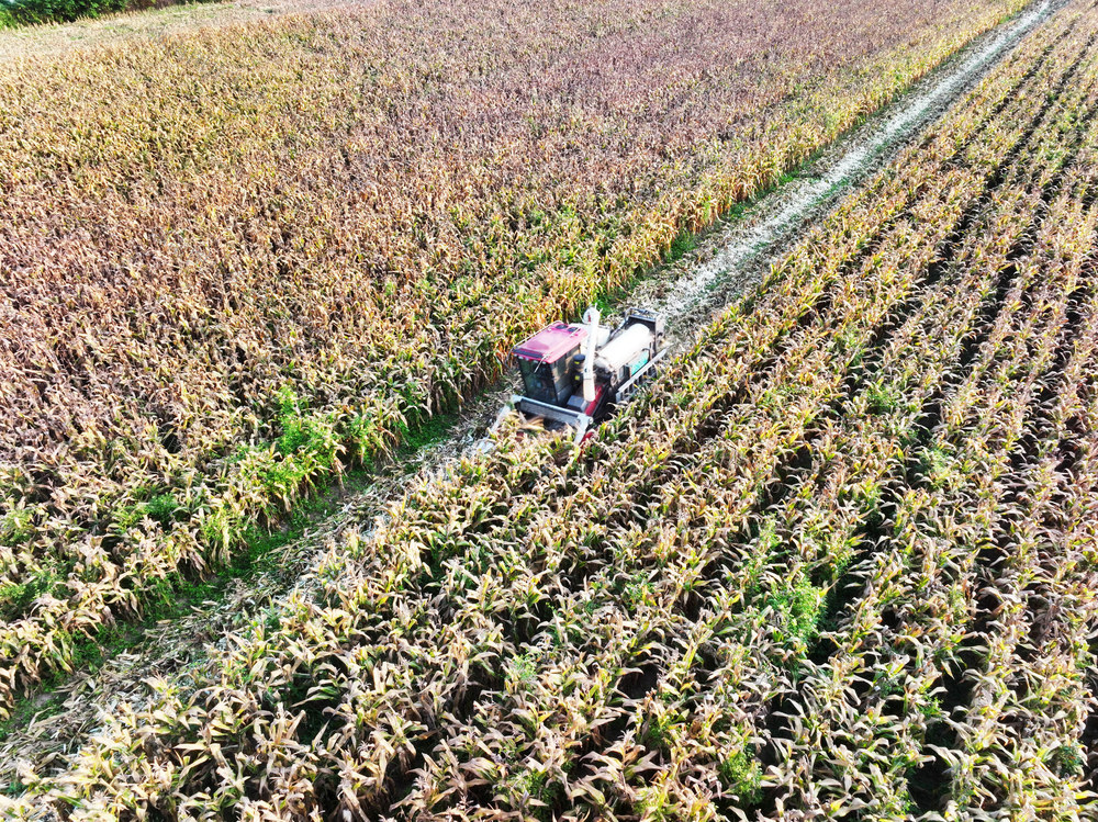 农机服务  跨省作业  玉米收割  秸秆离田