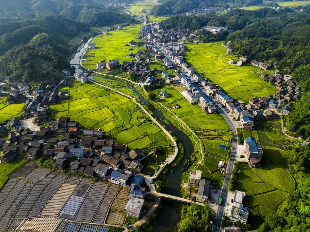 侗寨 丰收 秋景 美丽 画卷