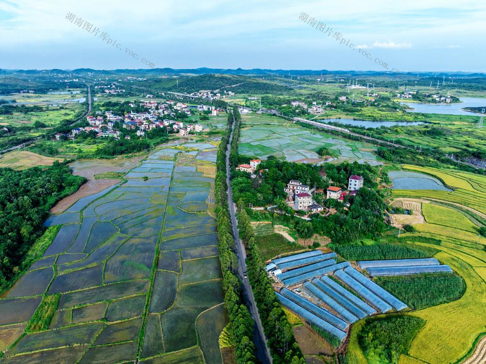 交通  “四好”农村公路  乡村振兴