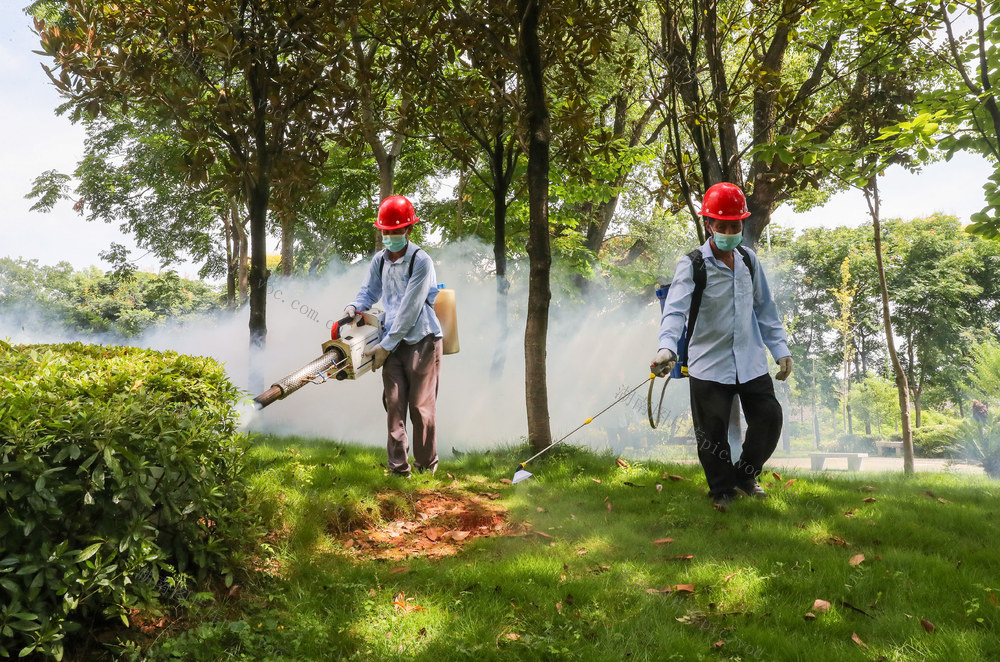 疫情  防控  消杀  蚊虫