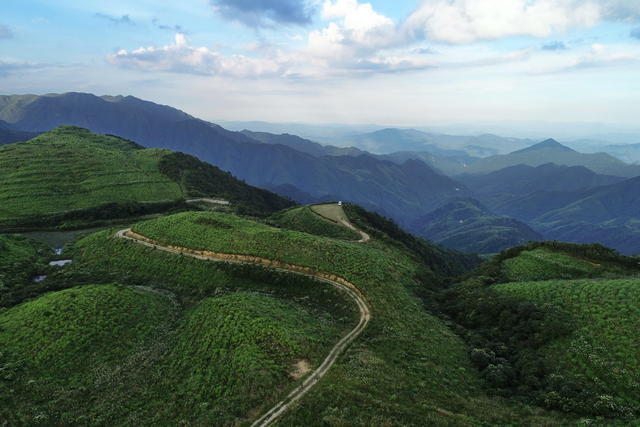 大院 罗霄山 酃峰 万洋山 生态环境 高海拔