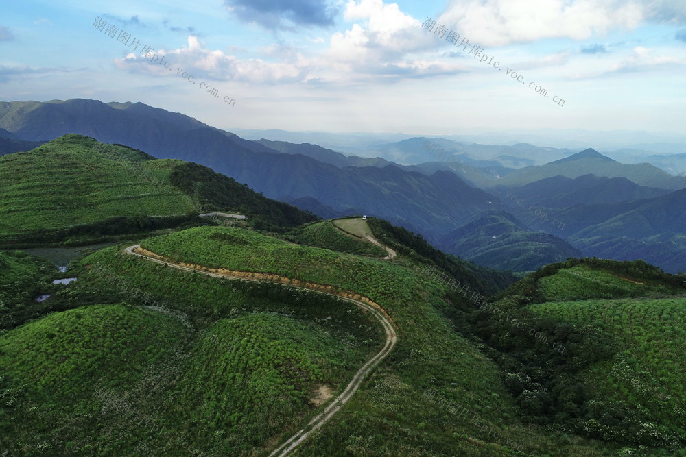 大院 罗霄山 酃峰 万洋山 生态环境 高海拔