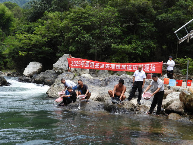 通道 龙底 景区 河道 水产 工作 人员 投放 鱼苗 助力 生态 平衡 