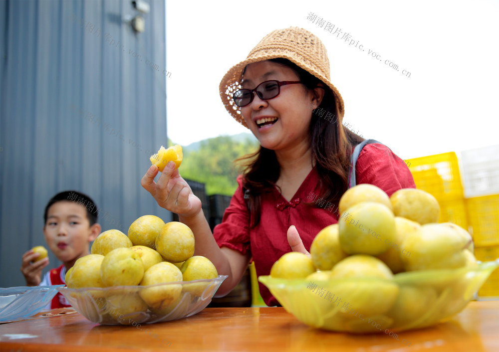 桂东 奈李 甜 鲜