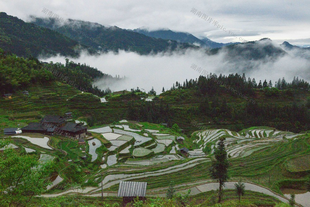 2023年4月25日拍摄于贵州加榜梯田