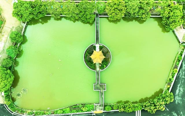 乡村生态美如画