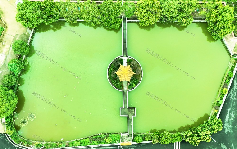 乡村生态美如画