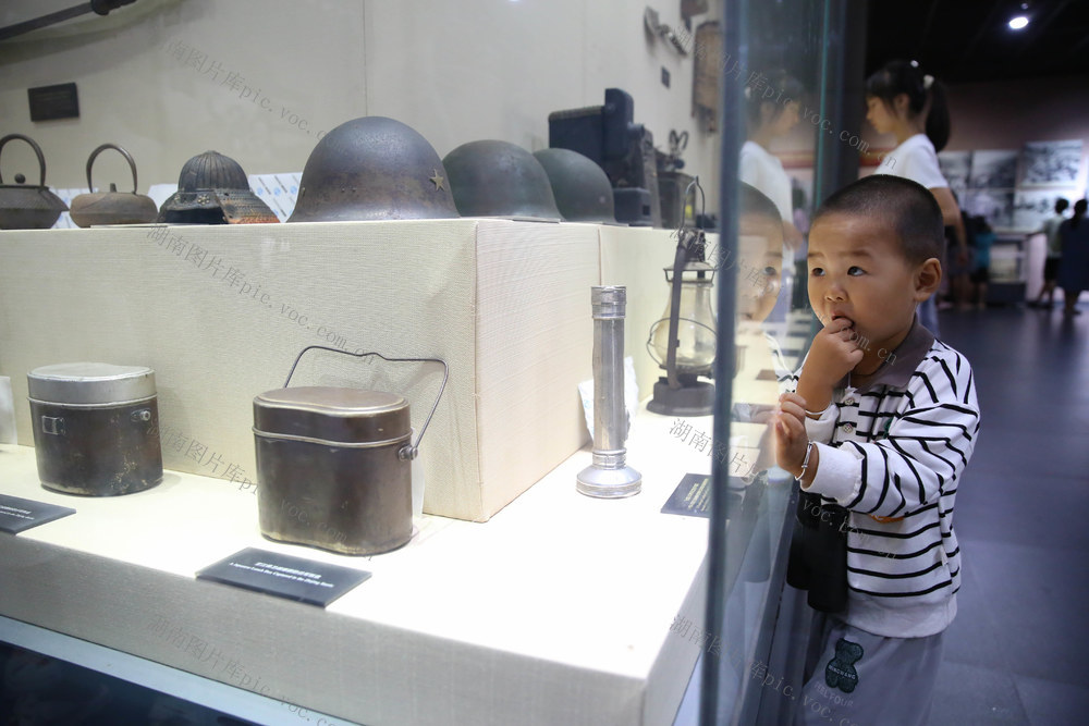 抗日战争 抗日战争胜利80周年 历史 抗日 战争 纪念 受降