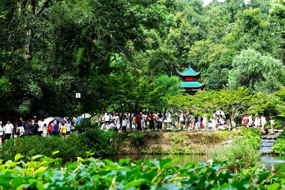 爱晚亭游人如织