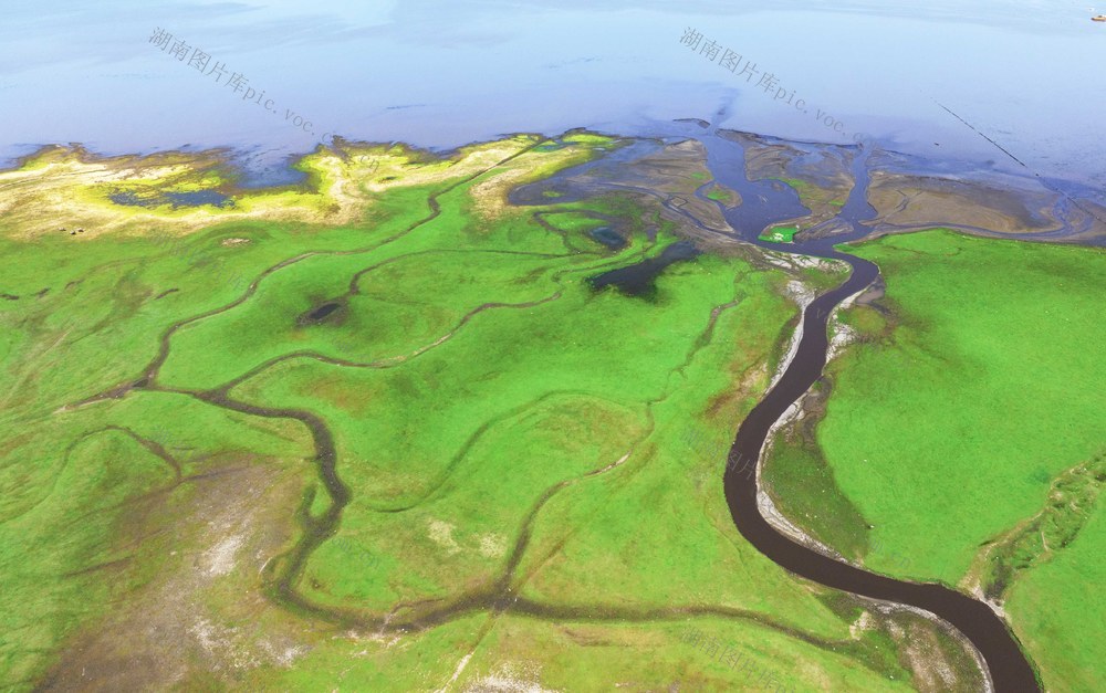 湖泊、草原、湿地