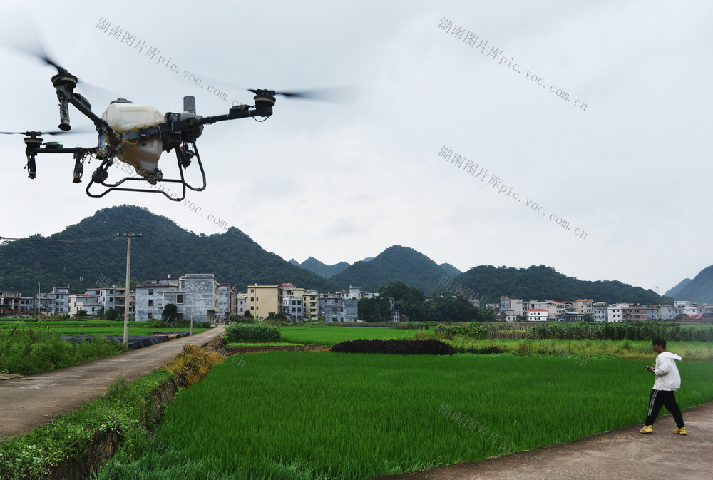 嘉禾：“飞防”作业保丰产