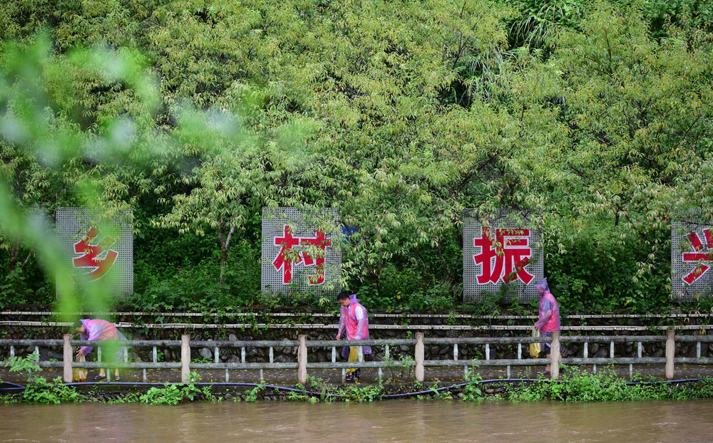全国 生态日 人大代表 履职“体验” 环境保护 捡拾垃圾
