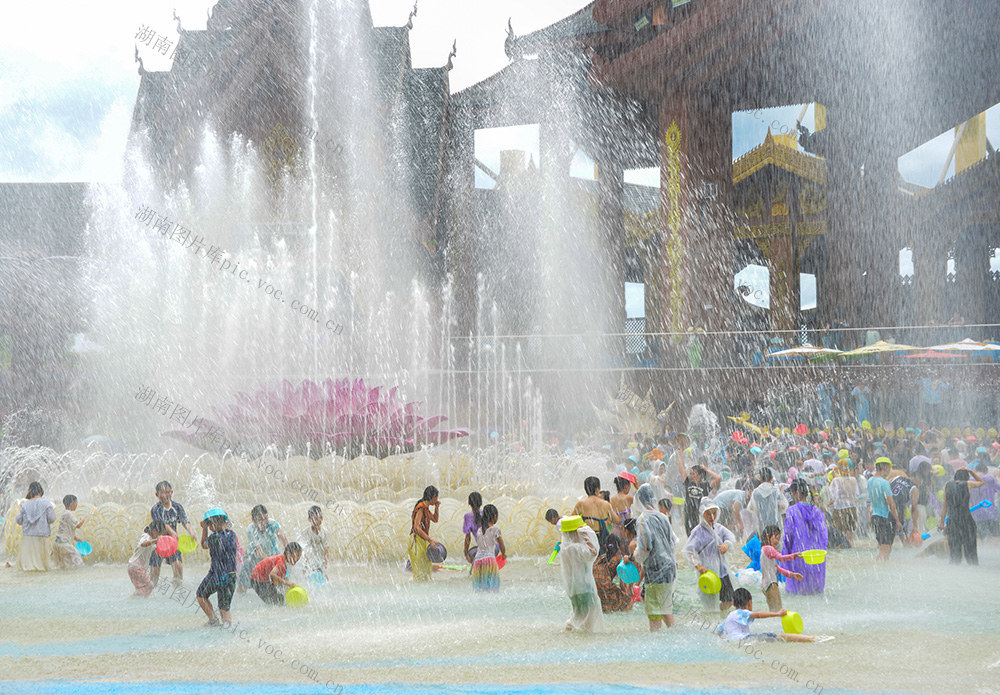 2025.06.29拍摄于云南西双版纳