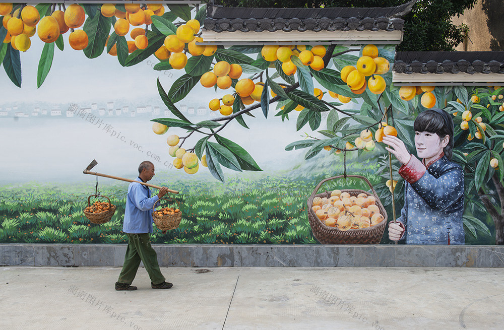 2025年5月21日拍摄于安徽黄山