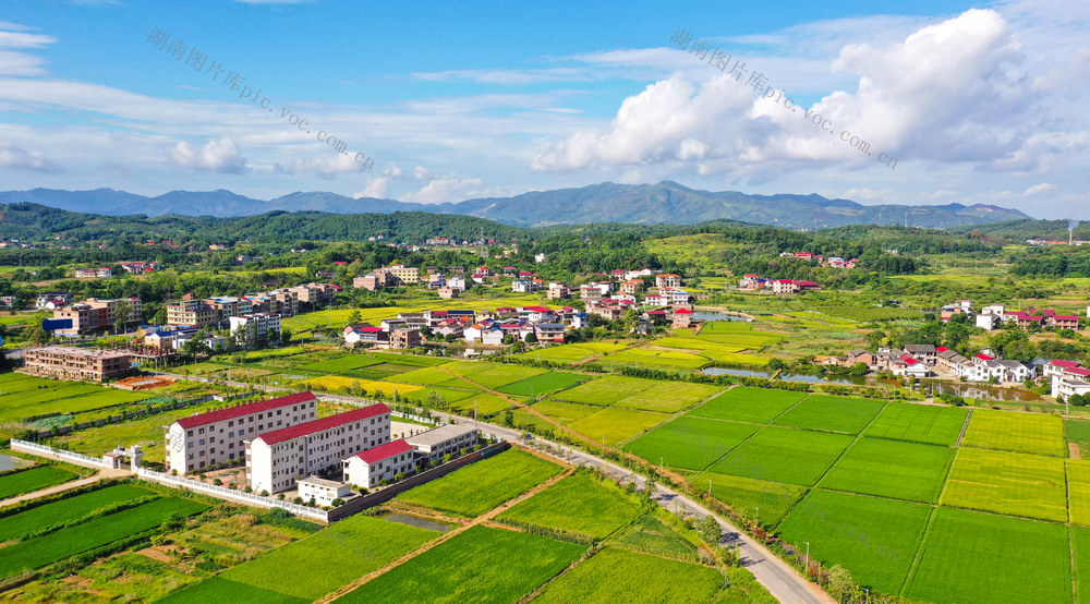 和美  乡村  田园  风光  自然  风景   