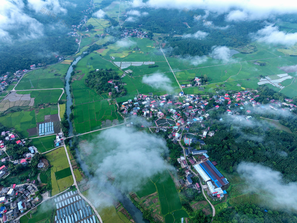 美丽乡村  秋日画卷