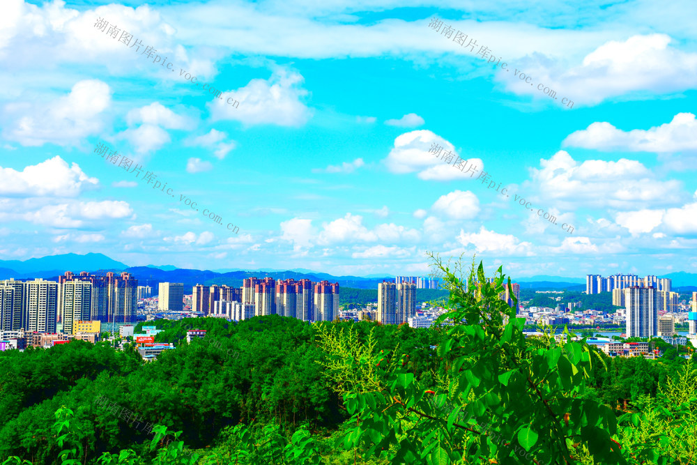 美丽秋景 生态典范