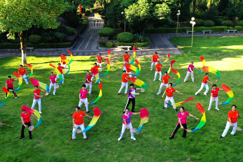 嘉禾：晨练健身 乐享生活