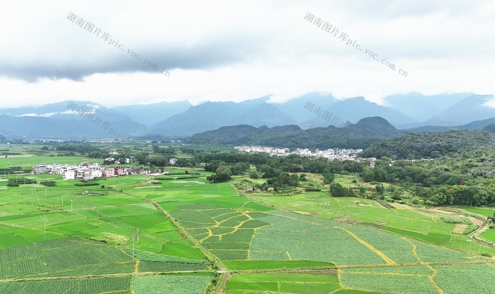 初秋田园 绿意盎然