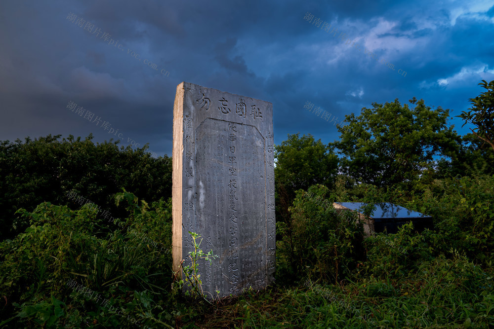  新抗战   诉讼  爱和平