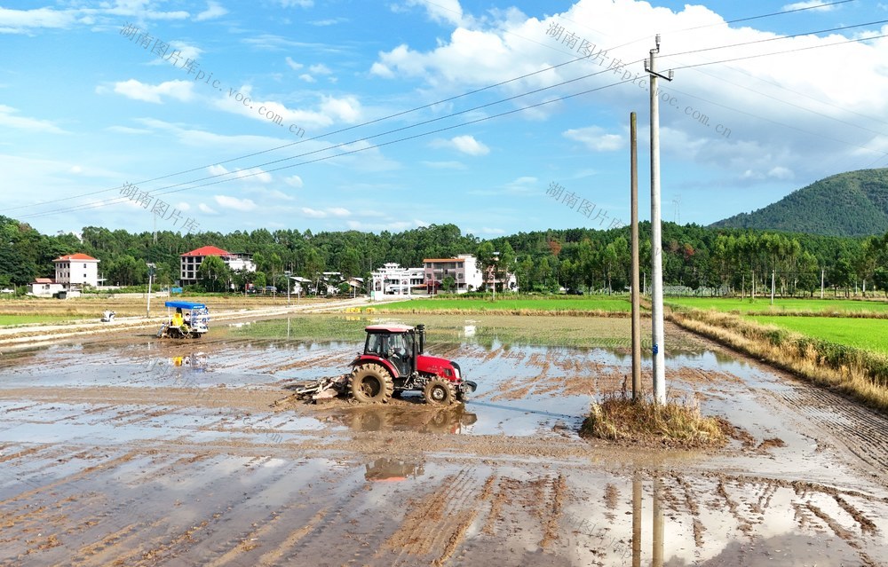 处暑来临农事忙