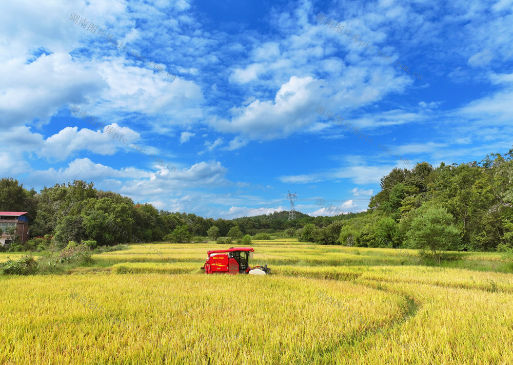 处暑 将至 农事 