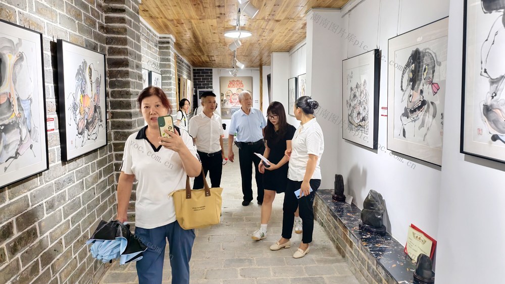 湖南  常宁  乡镇  美术馆