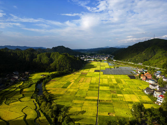 秋日 金黄 田园 山峦 河流 村庄 公路 相映 成 丰收 美景