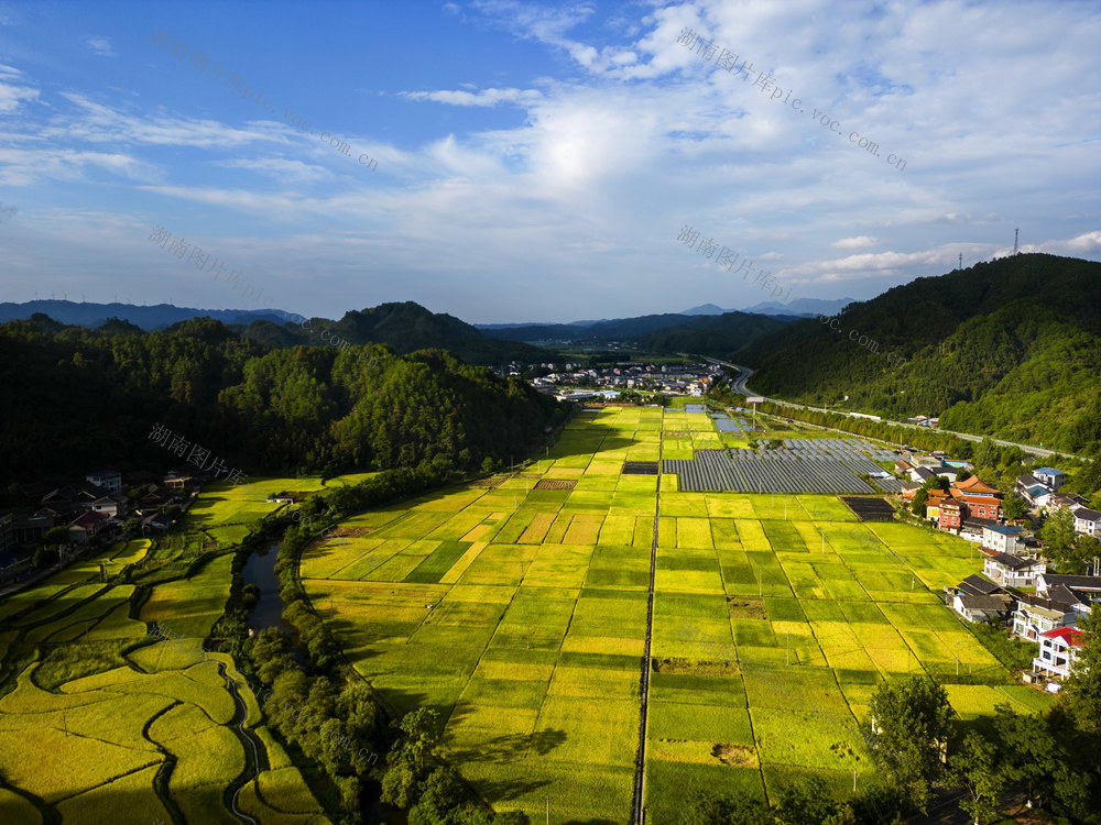 秋日 金黄 田园 山峦 河流 村庄 公路 相映 成 丰收 美景