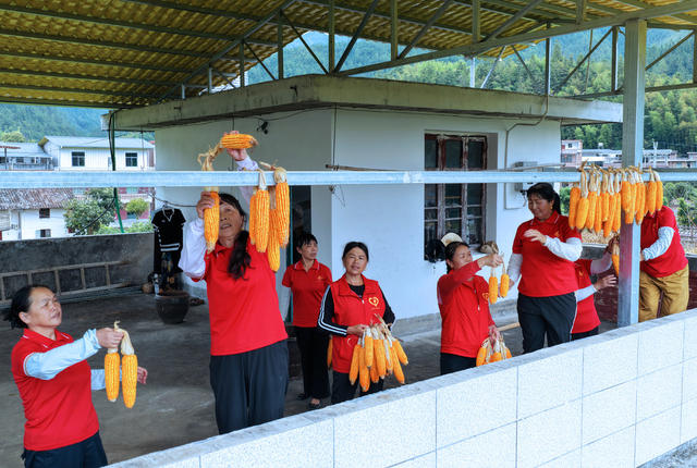 湖南桂东 丰收季 繁忙的丰收景象 玉米 志愿者