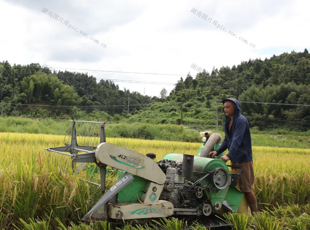  农机助秋收
