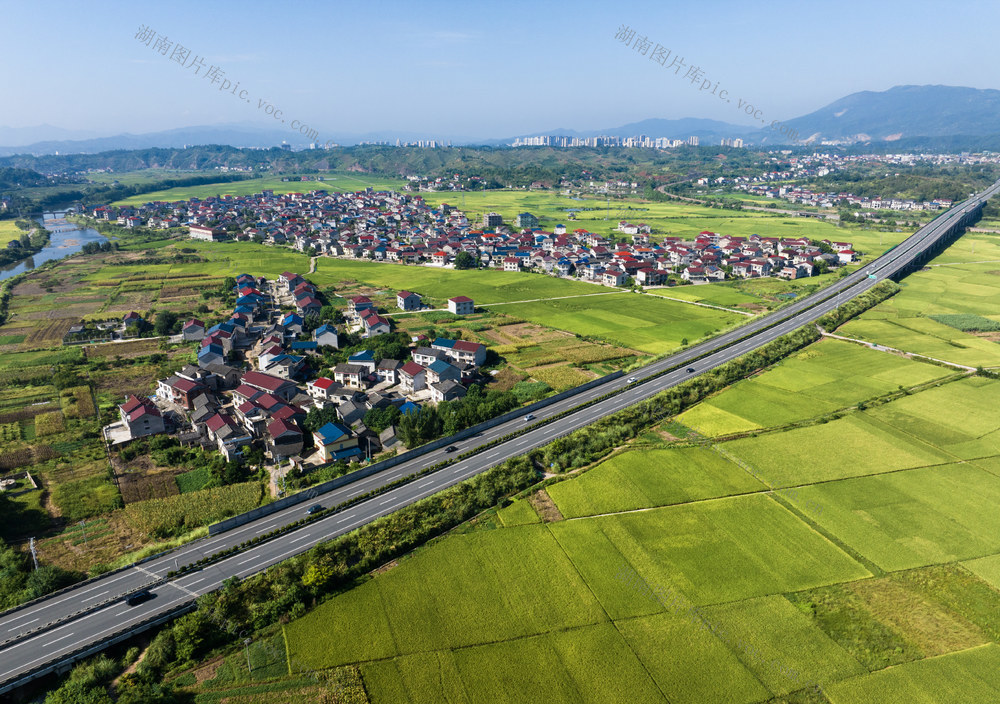 金秋稻田，溆浦大潭，乡村，图画