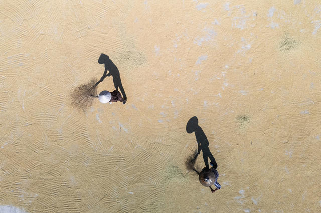 涟源 晒秋 晾晒  农作物