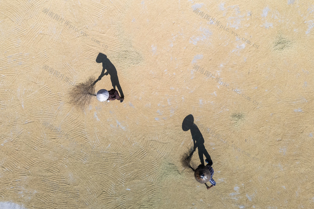 涟源 晒秋 晾晒  农作物