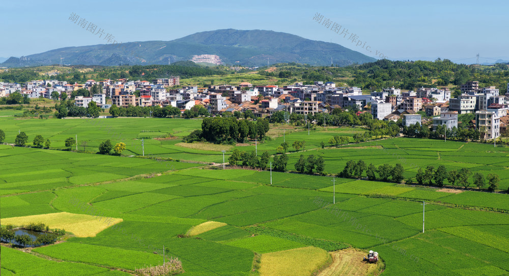 嘉禾：产业兴  田园美