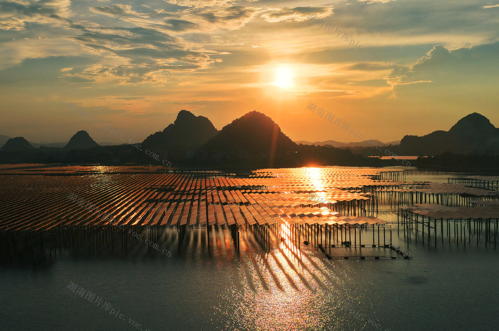 嘉禾：光伏水库间  奏响“渔光曲”  