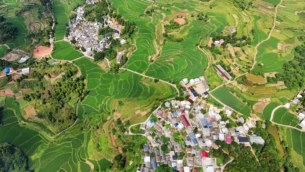 生态环境 乡村 人居 画卷  民居  田园风光