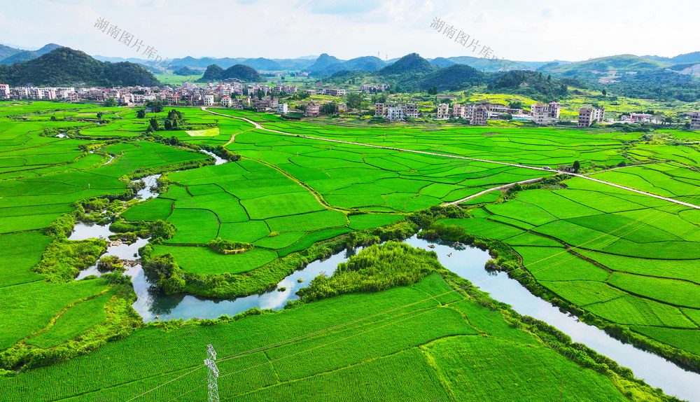 生态  田园  和美  乡村  画卷