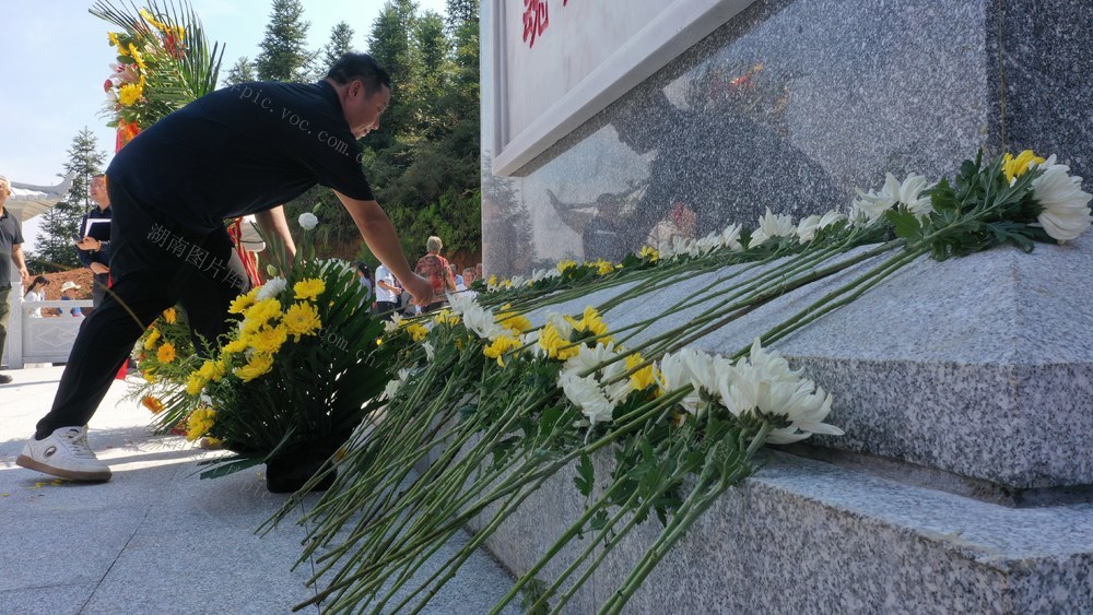 缅怀 纪念 先烈 抗日 历史  纪念碑 菊花