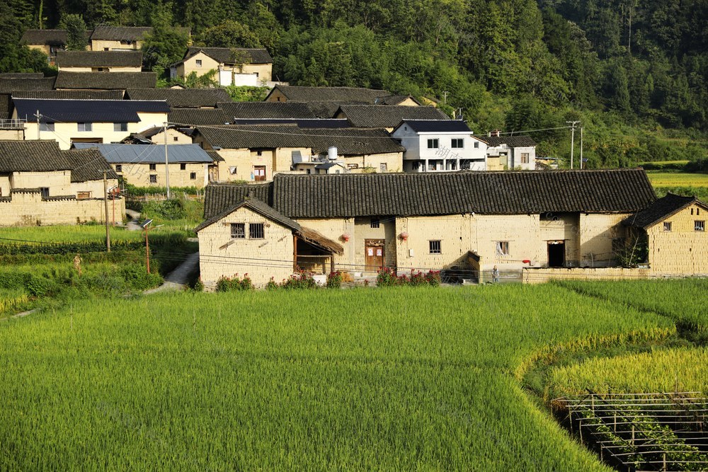 凤凰 黄沙坪 古村落 秋色 如画 稻田 苗寨 乡村 画卷