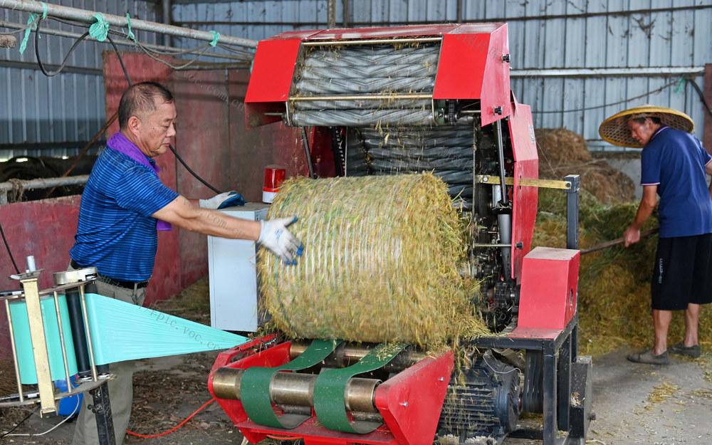 秸秆 再利用 农业 深加工 生态 环境 饲料  生产 效益 合作社 科学 变废为宝 