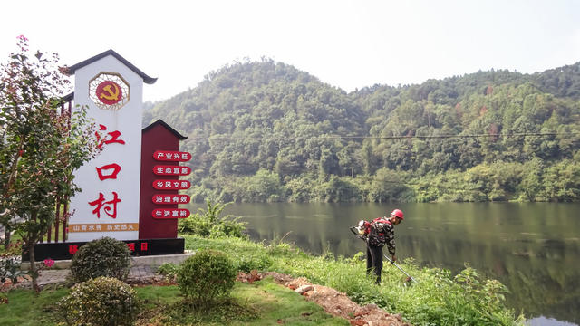 环境整治     割杂草