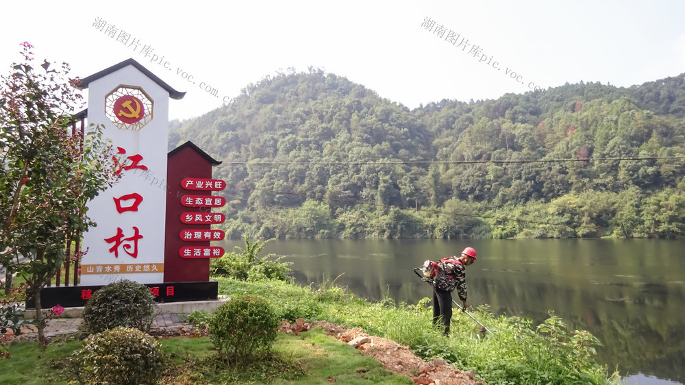 环境整治     割杂草