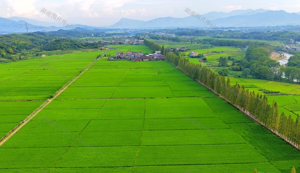 湖南  常宁  乡村  生态  美景