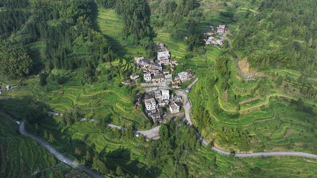 航拍    湖南  郴州  苏仙区  良田镇  菜岭村  梯田  乡村道路   生机盎然  绿色生态  秋日  