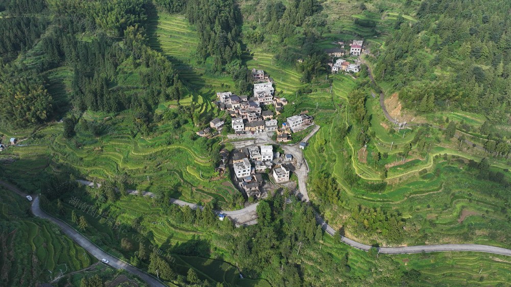 航拍    湖南  郴州  苏仙区  良田镇  菜岭村  梯田  乡村道路   生机盎然  绿色生态  秋日  