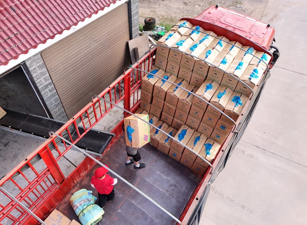 蔬菜、茄子、销售、产业、农业