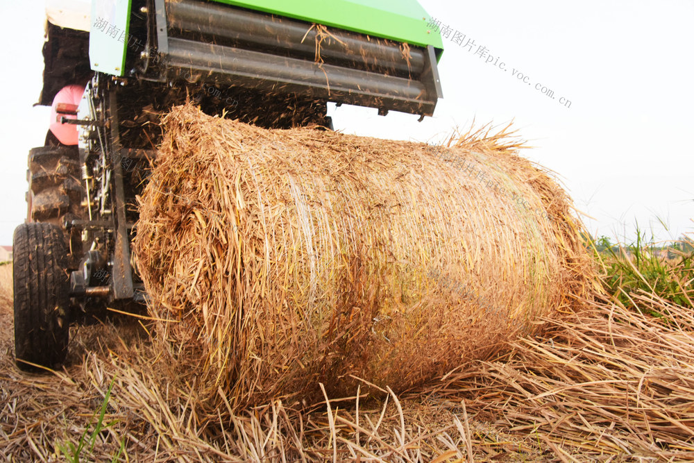 小农机  圆草捆打捆机  秸秆离田  稻草  中稻  
