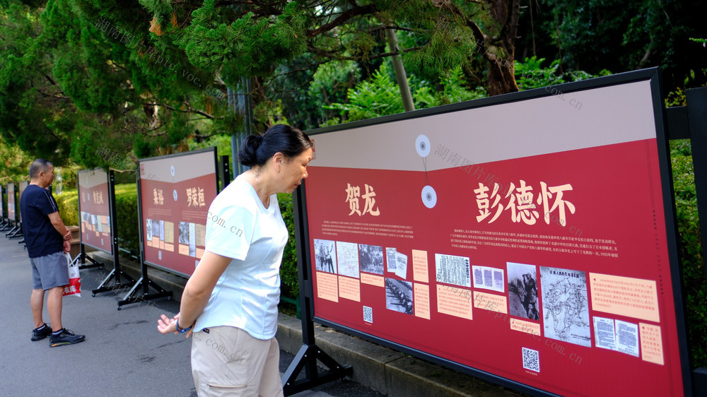 观看湖南抗战档案展